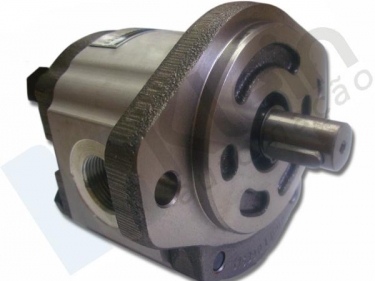 Gear Pump