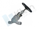 Globe valve