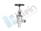 Globe valve